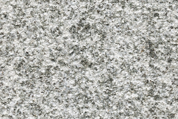 欽州芝麻灰荔枝面